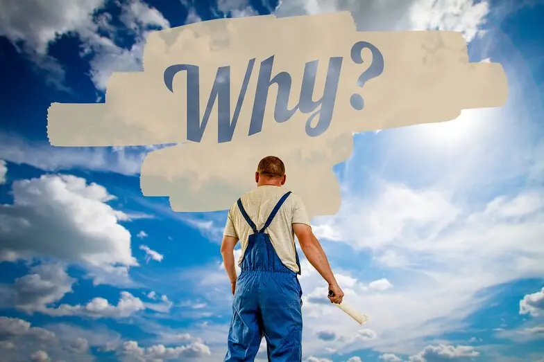 Why every business needs a website