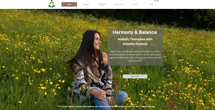 Harmony and Balance Website Harmony and Balance Website